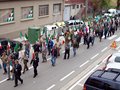 Corteo